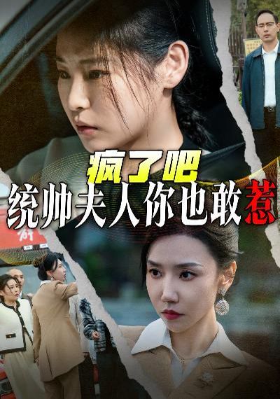 疯了吧统帅夫人你也敢惹海报